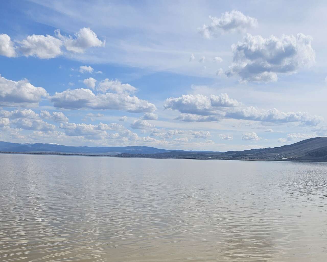 Konya’da kuraklığın vurduğu Çavuşçu Gölü, yaşama tekrar tutundu 5